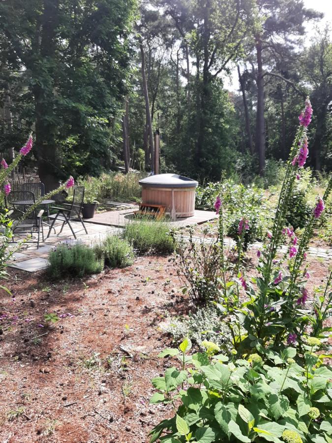 Vakantiehuis Met Hottub En Barrelsauna Ommen Kültér fotó