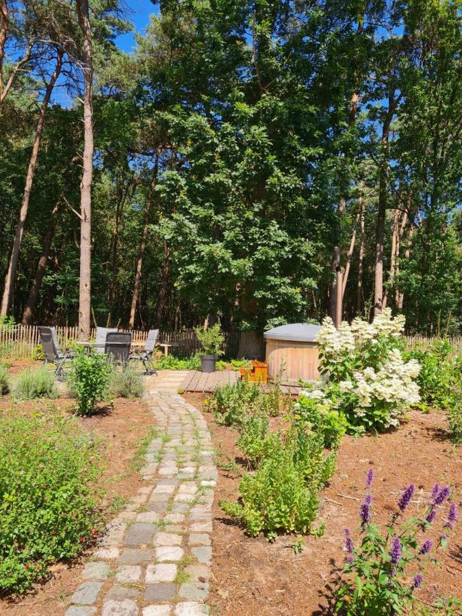 Vakantiehuis Met Hottub En Barrelsauna Ommen Kültér fotó
